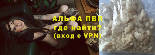 стаф Липки