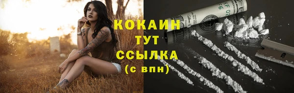 стаф Липки