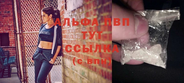 стаф Липки