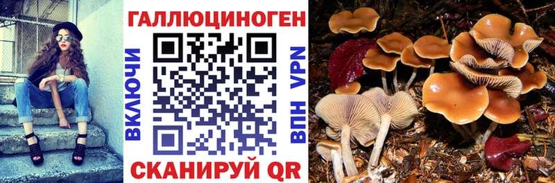 купить наркотики цена  Харабали  Псилоцибиновые грибы прущие грибы 